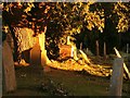 Graves at sunset in BA14 7JZ