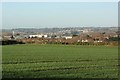 2007 : Wheatfield near Hilperton in BA14 7YZ