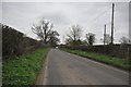 South Somerset : Country Road in BA22 8GN