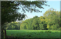 2011 : Across the meadow to Folly Wood in BA4 4FA