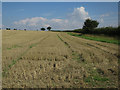 Stubble field in CB9 0NY