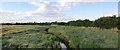 Woodham Fen Reserve in CM3 5ZA