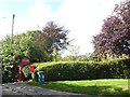 Overgrown telephone box, Charminster in DT2 9TN