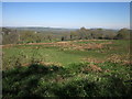 Above Temple Brook Farm in DT8 3LD