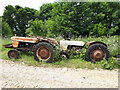 Rusty David Brown tractors, Lowdown Farm in DT8 3LD