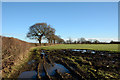 Field at Burnham Ings in Yorkshire and the Humber English Region
