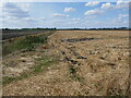 Stubble field, Feltwell Common in IP26 4EL
