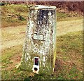 Trigpoint Pillar OSBM 11145 Maids Cross Hill in IP27 9EB