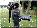 Churchyard pump (Detail) in IP28 8PH