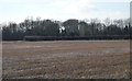 Field of Stubble in NR20 3PF