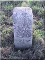 Old Milepost in NR29 5BA