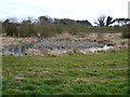 Pond at roadside in PE37 8AN