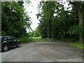 Car park for Ten Acre Plantation, Cockley Cley in PE37 8AN