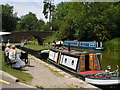 Wild flower meadow on a narrow boat, Pewsey Wharf in SN8 4JF