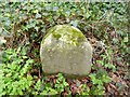 Old Boundary Marker at Harnham Hill, Netherhampton Parish in SP2 8BT