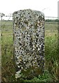 Old Milestone by Amesbury Road, Earl's Farm Down in SP4 7SQ
