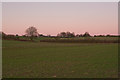 Looking across farmland from Avon Valley Path towards Lode Hill, nr Downton in SP5 3PJ