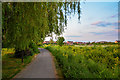 Wembdon : Footpath in TA6 7PL