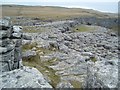 Malham Cove. in Malham