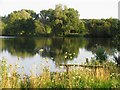 Reflections on Gravel Pit Lake in RG7 4LY