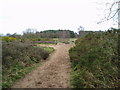 Hartlebury Common in DY13 9QS
