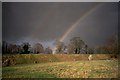 Section of Avebury Stone Circle in SN8 1RQ