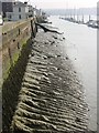 Low tide by Chatham Historic Dockyard in ME4 4LJ