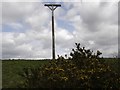 Combe Gibbet in RG17 9QJ