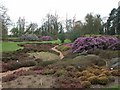 Part of the National Heather collection, RHS Wisley in GU23 6QF