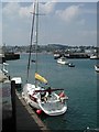 Torquay Harbour in TQ1 1QG