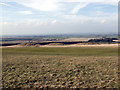 Therfield Heath Barrows in SG8 9FU