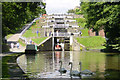 Bingley Five-Rise Locks in BD16 4SY
