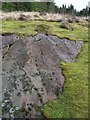 Cup and Ring stones above Achnabreck in PA31 8SG