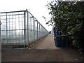Greenhouses in AL4 0HA