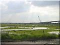 Ridham Marshes in ME9 8SS