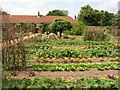 Vegetable garden at Ham House Estate in TW10 5HA