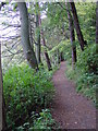 The riverside/woodland path from Rothbury to Thrum Mill. in NE65 7RZ
