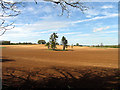 Ploughed Field near Kintbury in RG17 9AE
