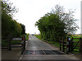 Cattle Grid: Kintbury Gate on Hungerford Common in RG17 0UU