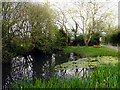 Village Pond: Upper Green in RG17 9PZ