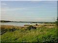 Little Murston Nature Reserve in ME10 3NB
