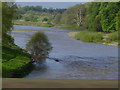 River Esk, Longtown in CA6 5SA