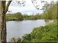 River Trent in DE72 2HL