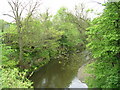 River Goyt, Stockport in SK1 4BE