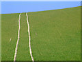 Tramlines near Wilmington in BN26 5SJ