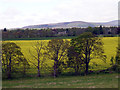 Oathlaw from the A90 in DD8 3PN