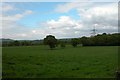 View across farmland to Latchett's copse in GU31 5RE