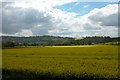 Looking over Rape fields towards South Harting in GU31 5BG
