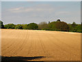 Ploughed Field off Manston's Lane in RG18 0TN