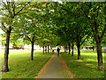 Chiswick: Avenue of Trees Across the Park in W4 1JS
